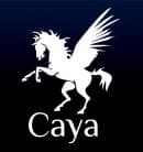 Caya logo — Forex PCI DSS Level 3 Compliance portfolio cover